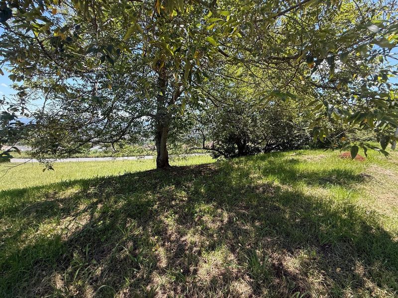 Your Dream Home Starts with the Perfect plot - Photo 10