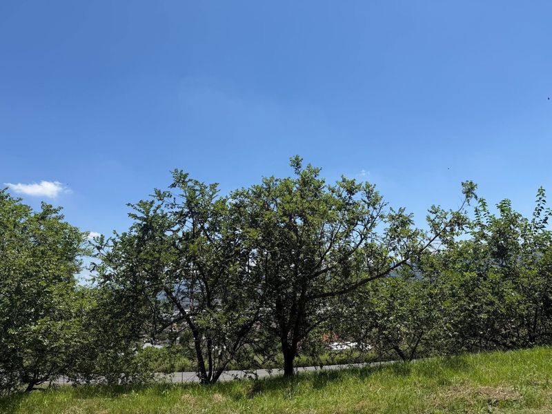 Your Dream Home Starts with the Perfect plot - Photo 6