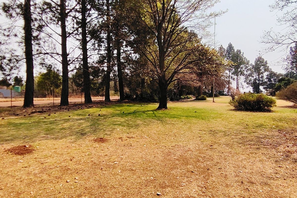 Charming 2.2  Smallholding in Mooilande. - Photo 3