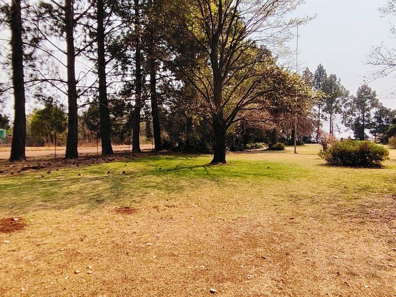 Charming 2.2  Smallholding in Mooilande. - Photo 3