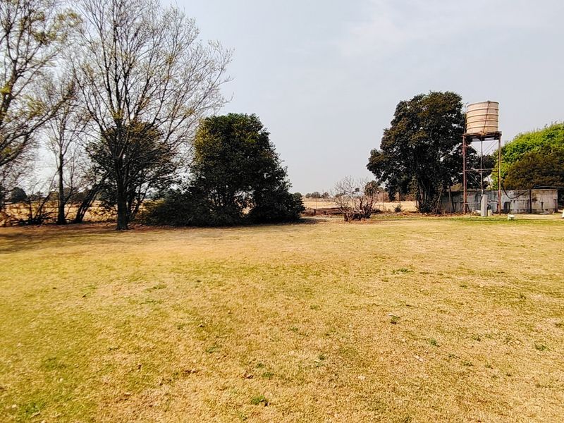 Charming 2.2  Smallholding in Mooilande. - Photo 9