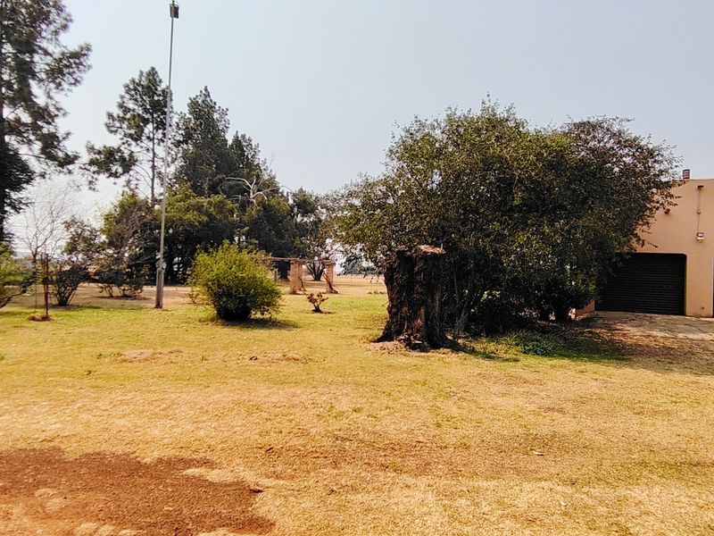 Charming 2.2  Smallholding in Mooilande. - Photo 7