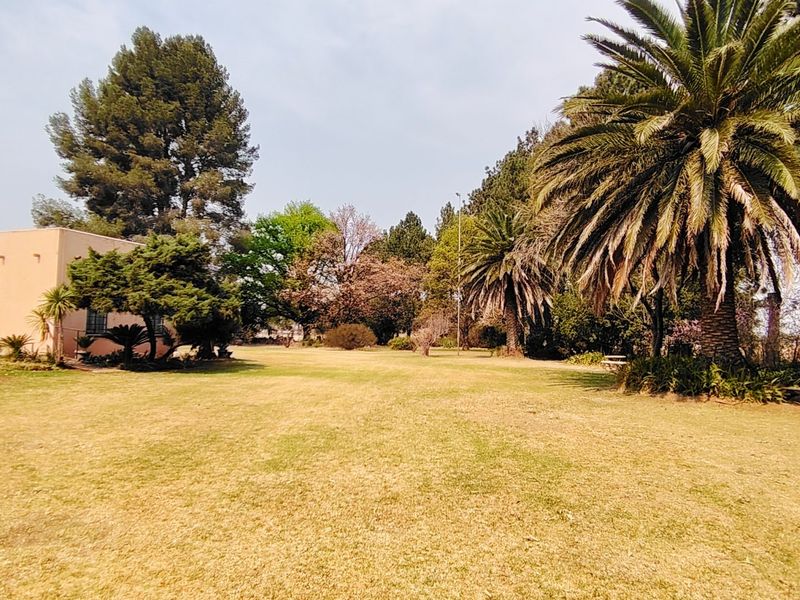 Charming 2.2  Smallholding in Mooilande. - Photo 6