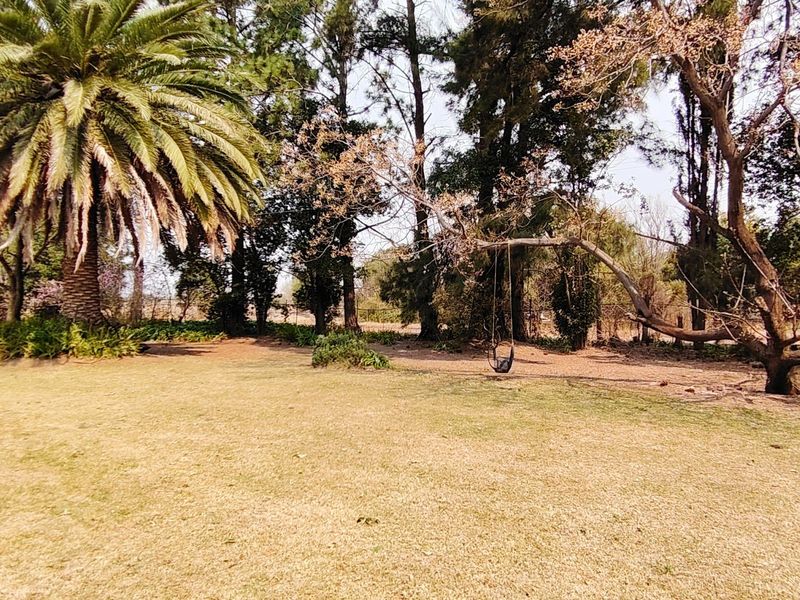 Charming 2.2  Smallholding in Mooilande. - Photo 4