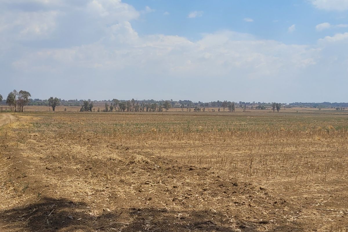 40 HA Farm in Valley Settlements.  - Photo 5