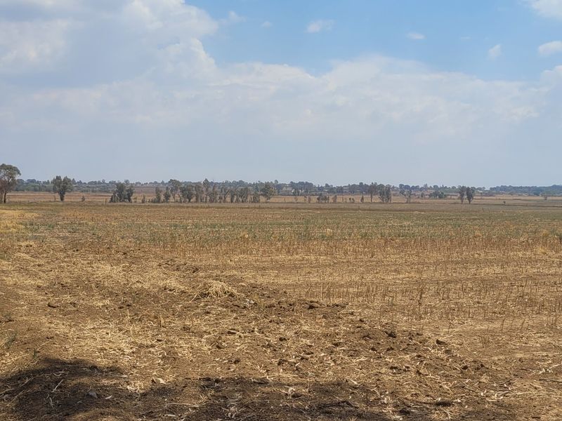 40 HA Farm in Valley Settlements.  - Photo 5