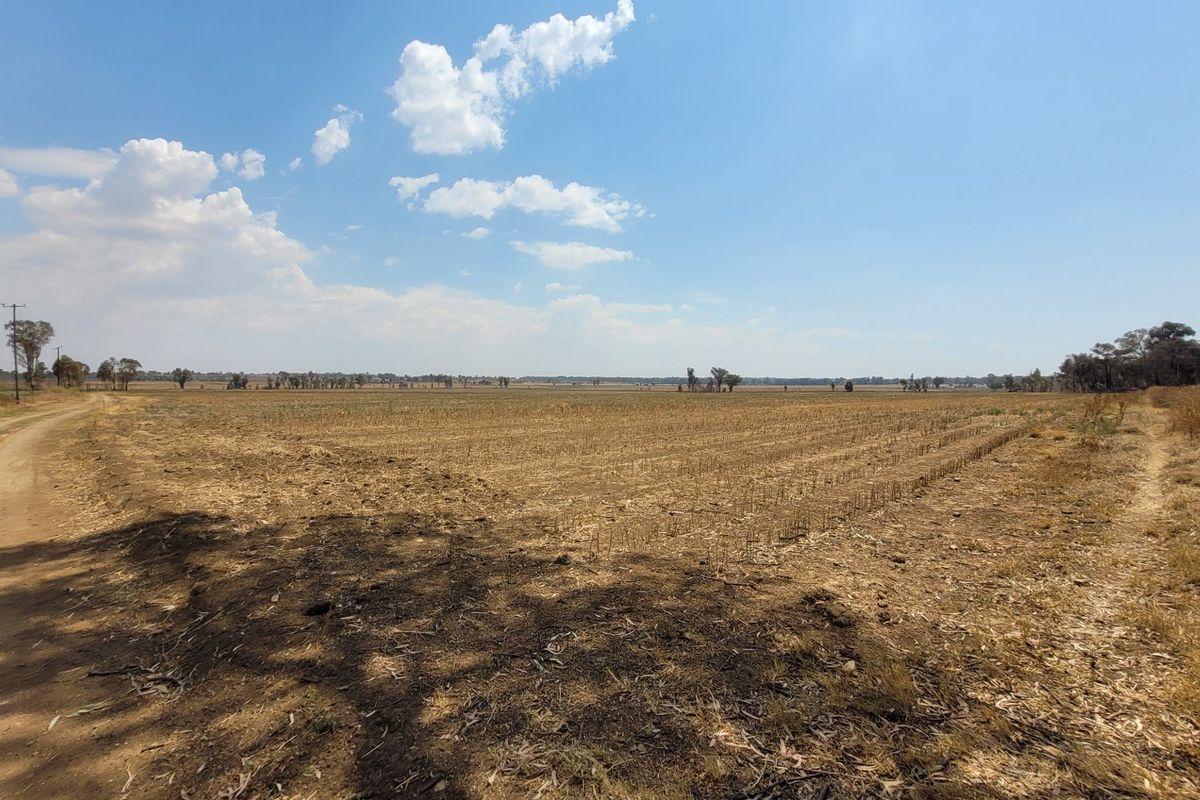 40 HA Farm in Valley Settlements.  - Photo 4