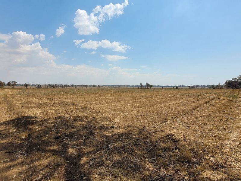 40 HA Farm in Valley Settlements.  - Photo 4