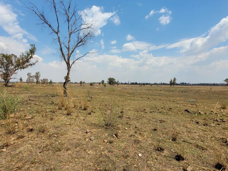 40 HA Farm in Valley Settlements.  - Photo 9