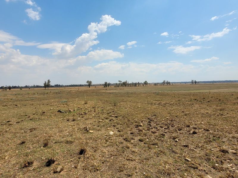 40 HA Farm in Valley Settlements.  - Photo 10