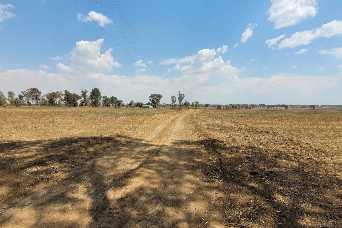 40 HA Farm in Valley Settlements.  - Photo 3