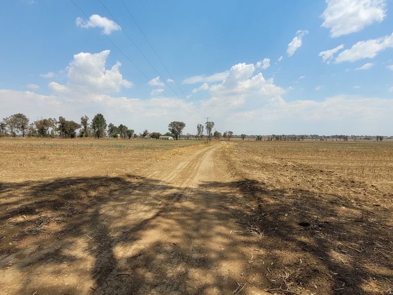 40 HA Farm in Valley Settlements.  - Photo 3