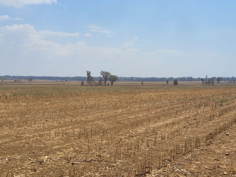 40 HA Farm in Valley Settlements.  - Photo 7