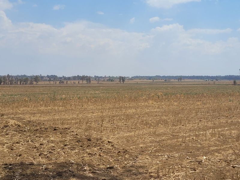 40 HA Farm in Valley Settlements.  - Photo 6