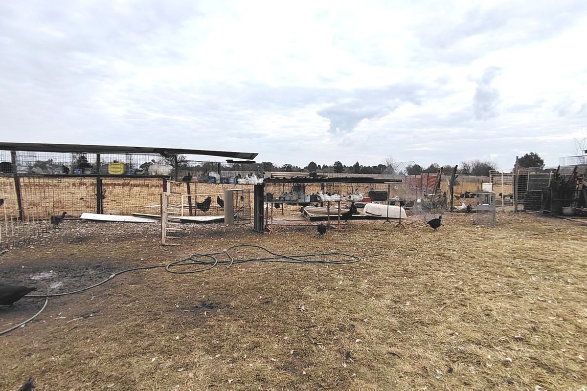 2.1 HA Farm in Buyscelia. - Photo 3