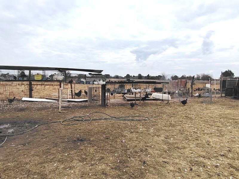 2.1 HA Farm in Buyscelia. - Photo 3