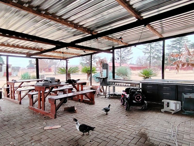 2.1 HA Farm in Buyscelia. - Photo 10