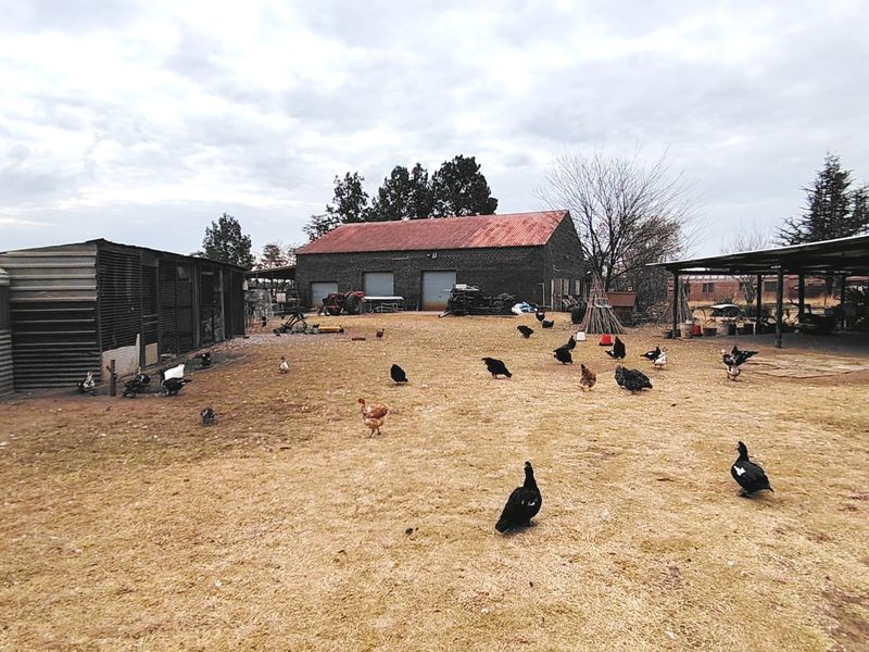 2.1 HA Farm in Buyscelia. - Photo 9