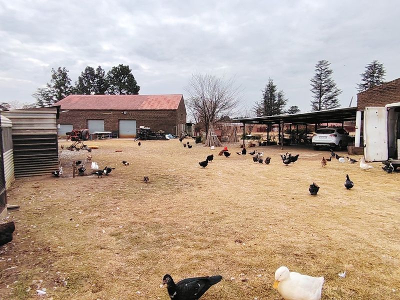 2.1 HA Farm in Buyscelia. - Photo 8