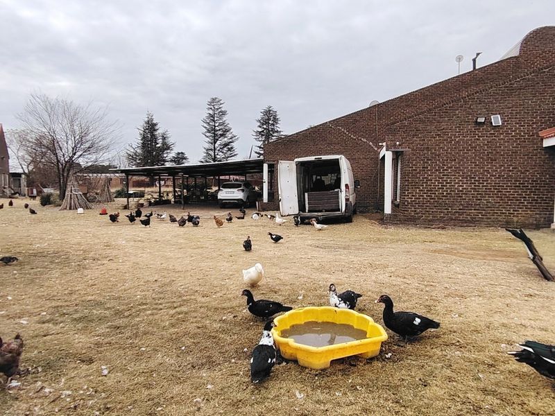 2.1 HA Farm in Buyscelia. - Photo 7