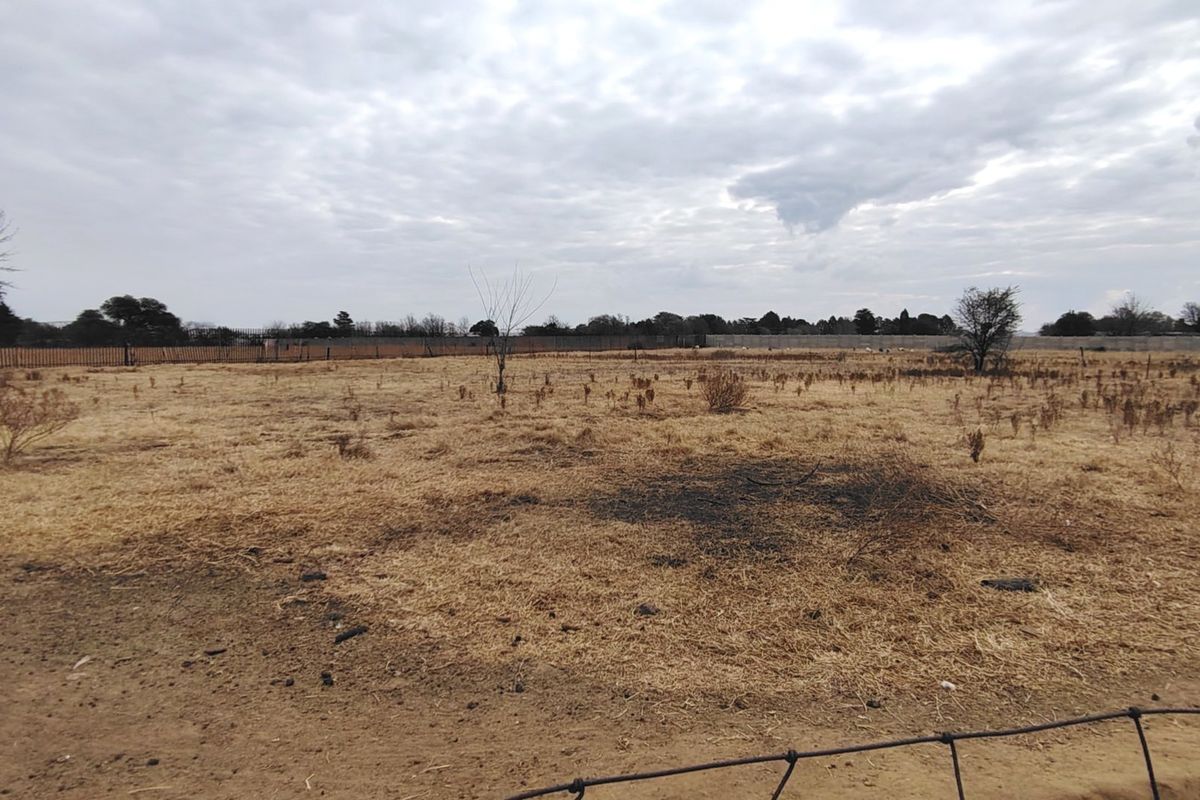 2.1 HA Farm in Buyscelia. - Photo 5