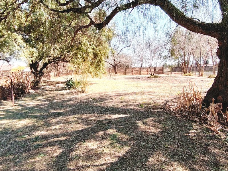 Spacious 2.5ha Farm with Two Family Homes. - Photo 8