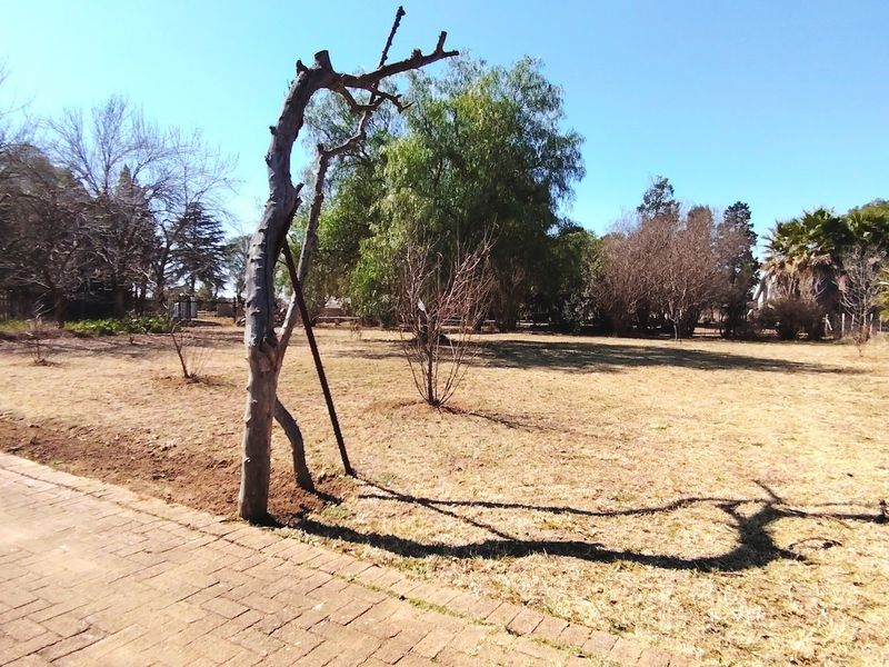 Spacious 2.5ha Farm with Two Family Homes. - Photo 6