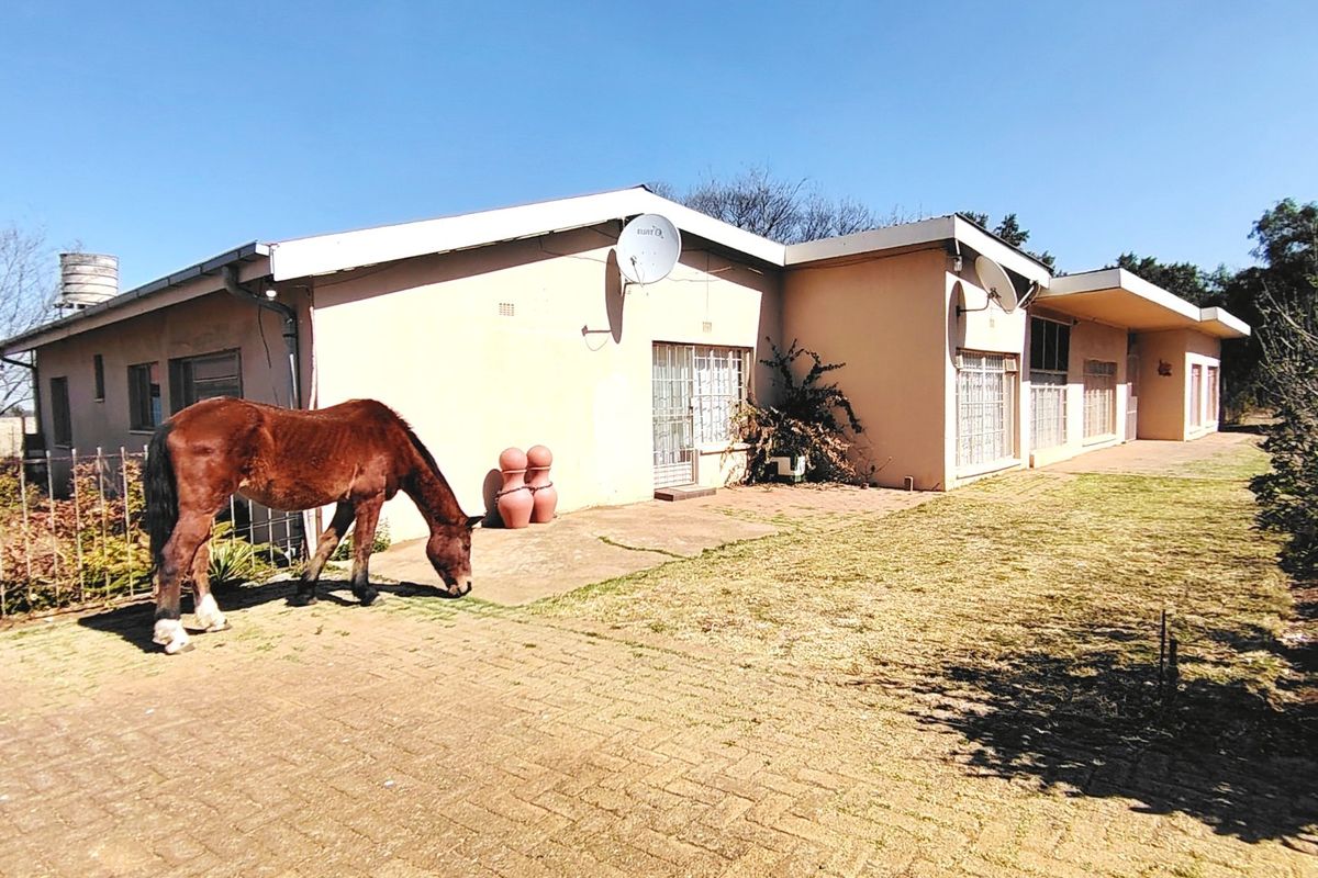 Spacious 2.5ha Farm with Two Family Homes. - Photo 3