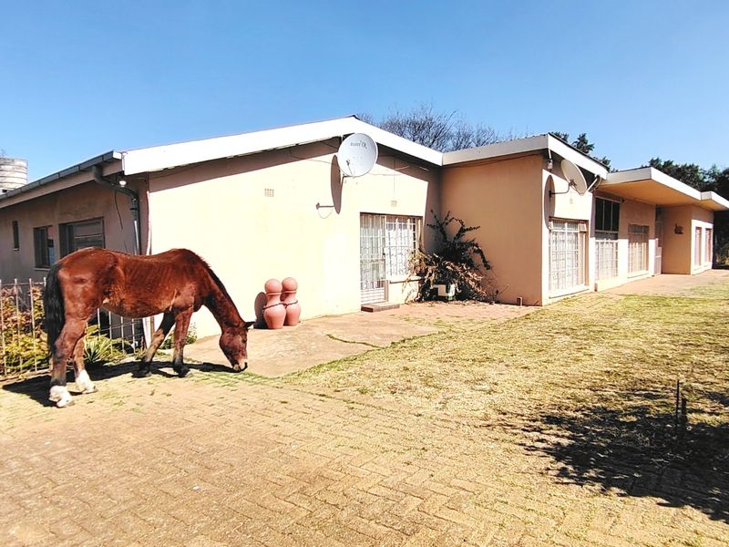 Spacious 2.5ha Farm with Two Family Homes. - Photo 3