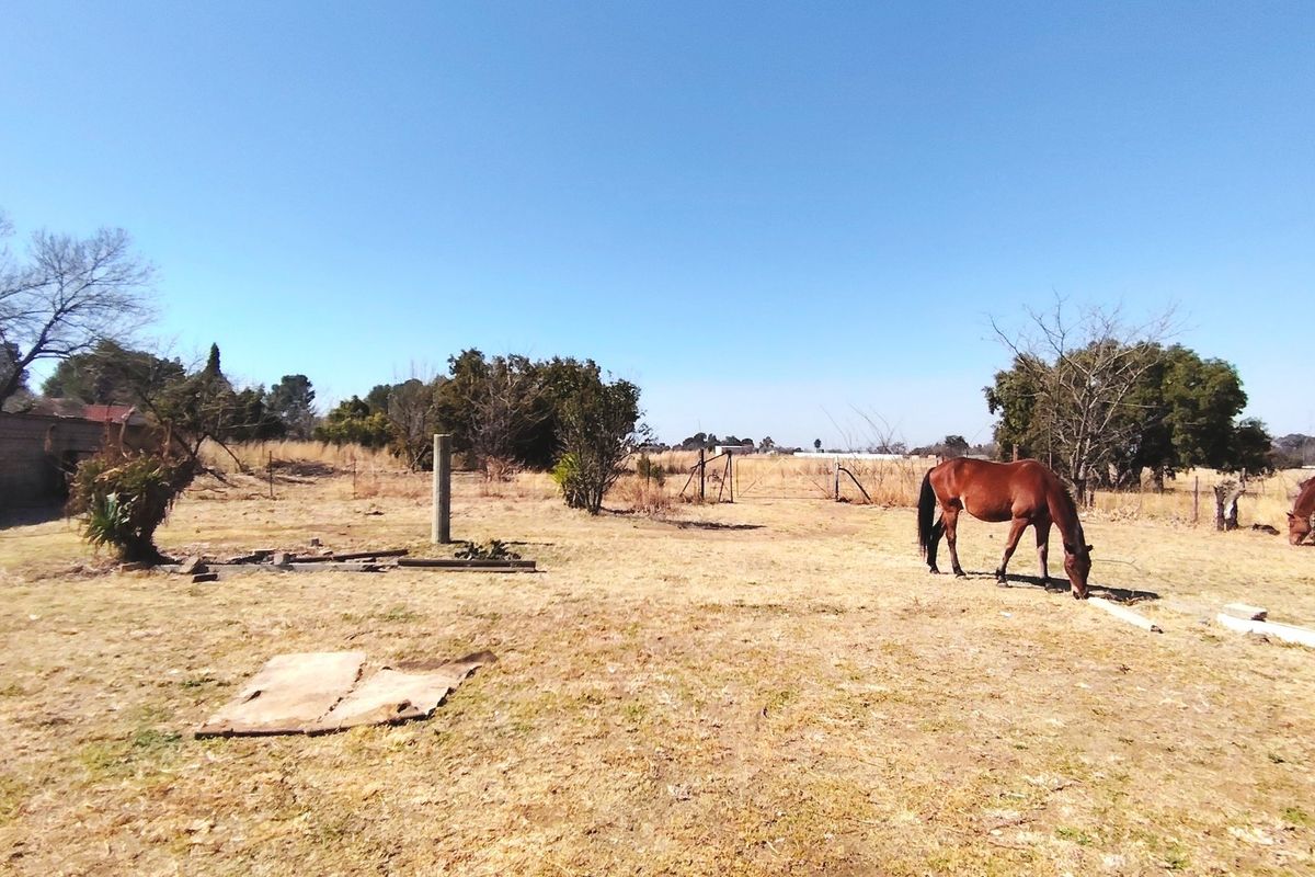 Spacious 2.5ha Farm with Two Family Homes. - Photo 2