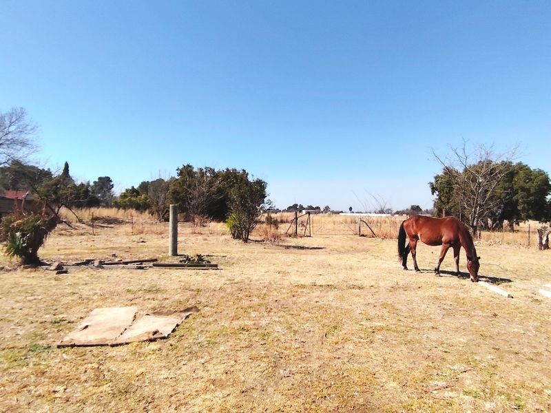 Spacious 2.5ha Farm with Two Family Homes. - Photo 2