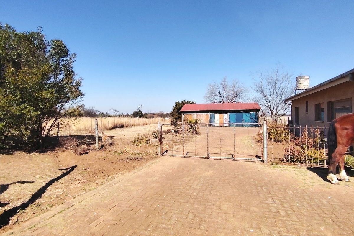 Spacious 2.5ha Farm with Two Family Homes. - Photo 5