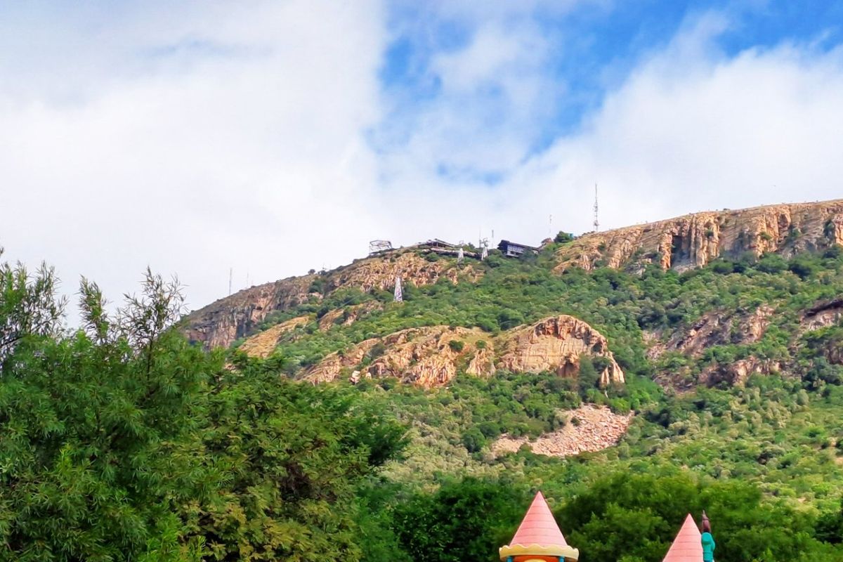 1.8 Hectare Commercial Smallholding - Photo 3