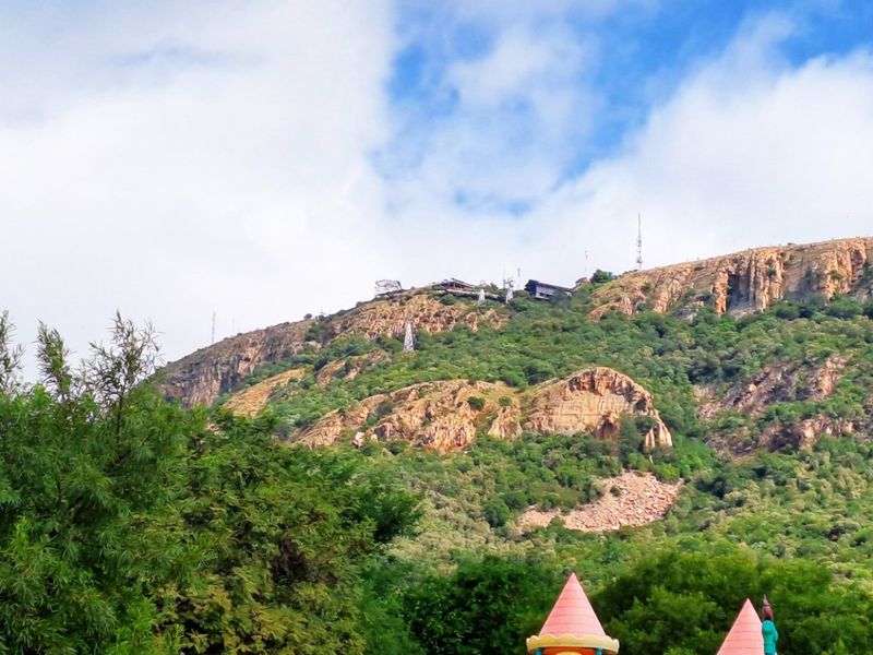 1.8 Hectare Commercial Smallholding - Photo 3