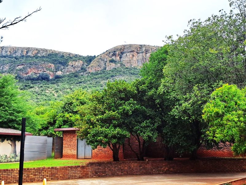 1.8 Hectare Commercial Smallholding - Photo 7