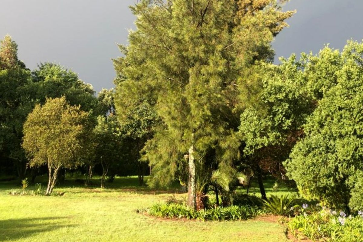 SPACE & COUNTRY CHARM - Photo 5