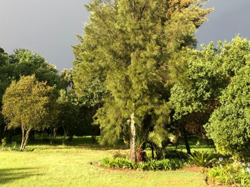 SPACE & COUNTRY CHARM - Photo 5