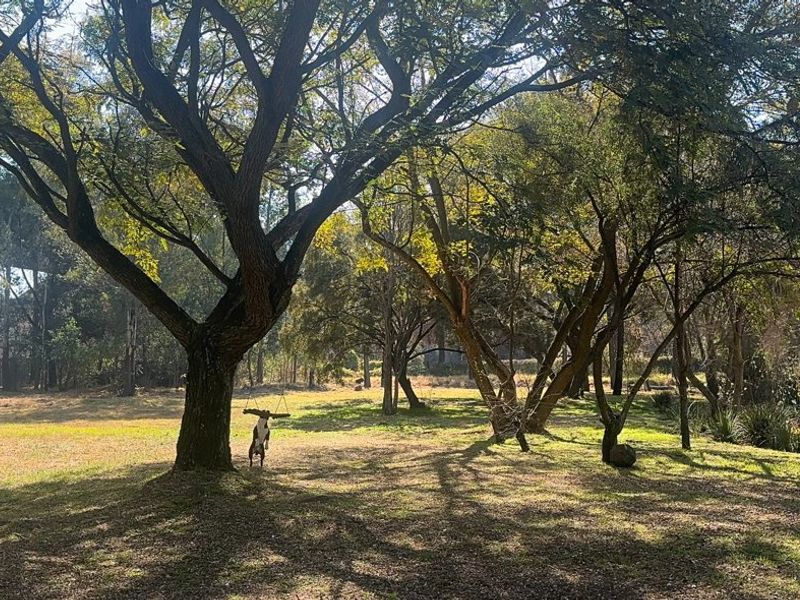 SPACE & COUNTRY CHARM - Photo 7