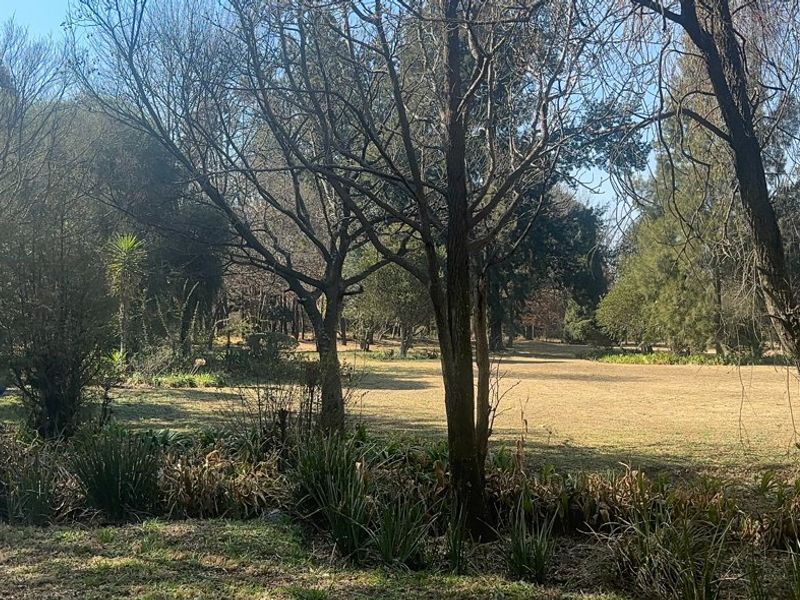 SPACE & COUNTRY CHARM - Photo 6