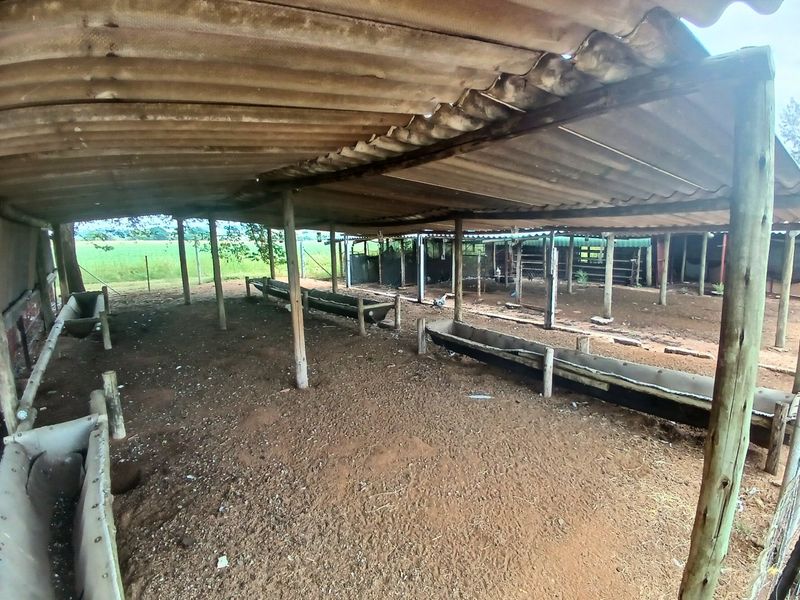 17HA IRRIGATED FARM FOR SALE IN VASTFONTEIN - Photo 10