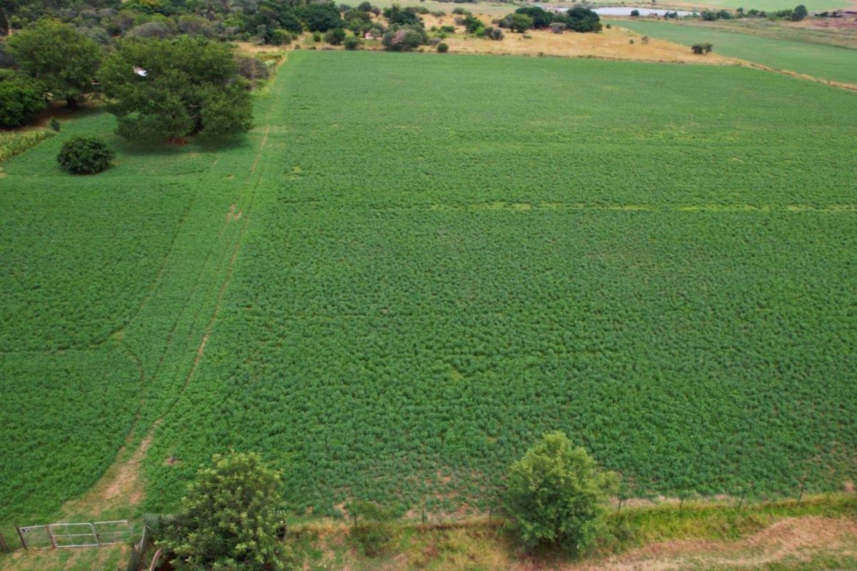 17HA IRRIGATED FARM FOR SALE IN VASTFONTEIN - Photo 4