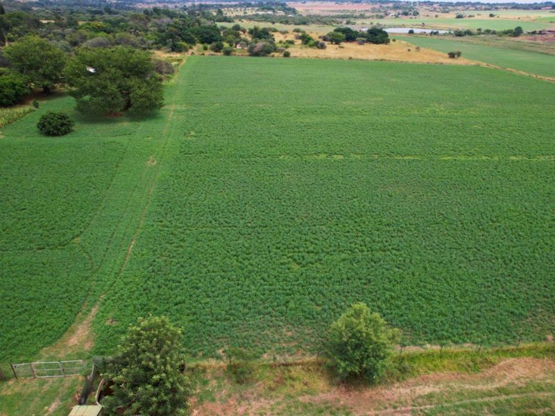 17HA IRRIGATED FARM FOR SALE IN VASTFONTEIN - Photo 4