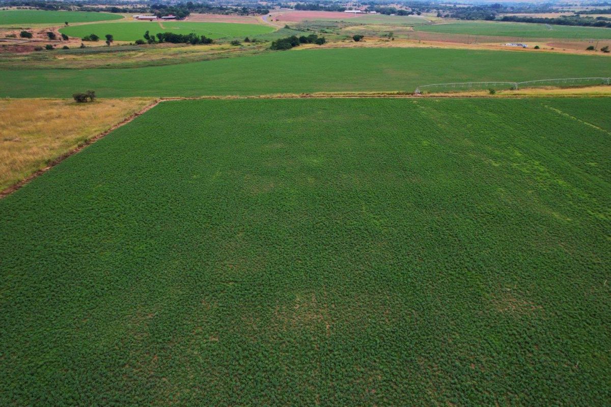 17HA IRRIGATED FARM FOR SALE IN VASTFONTEIN - Photo 5