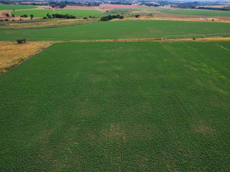 17HA IRRIGATED FARM FOR SALE IN VASTFONTEIN - Photo 6