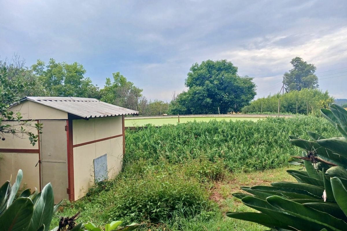 A view of a small storage shed situated in a large, overgrown garden area on the farm property.