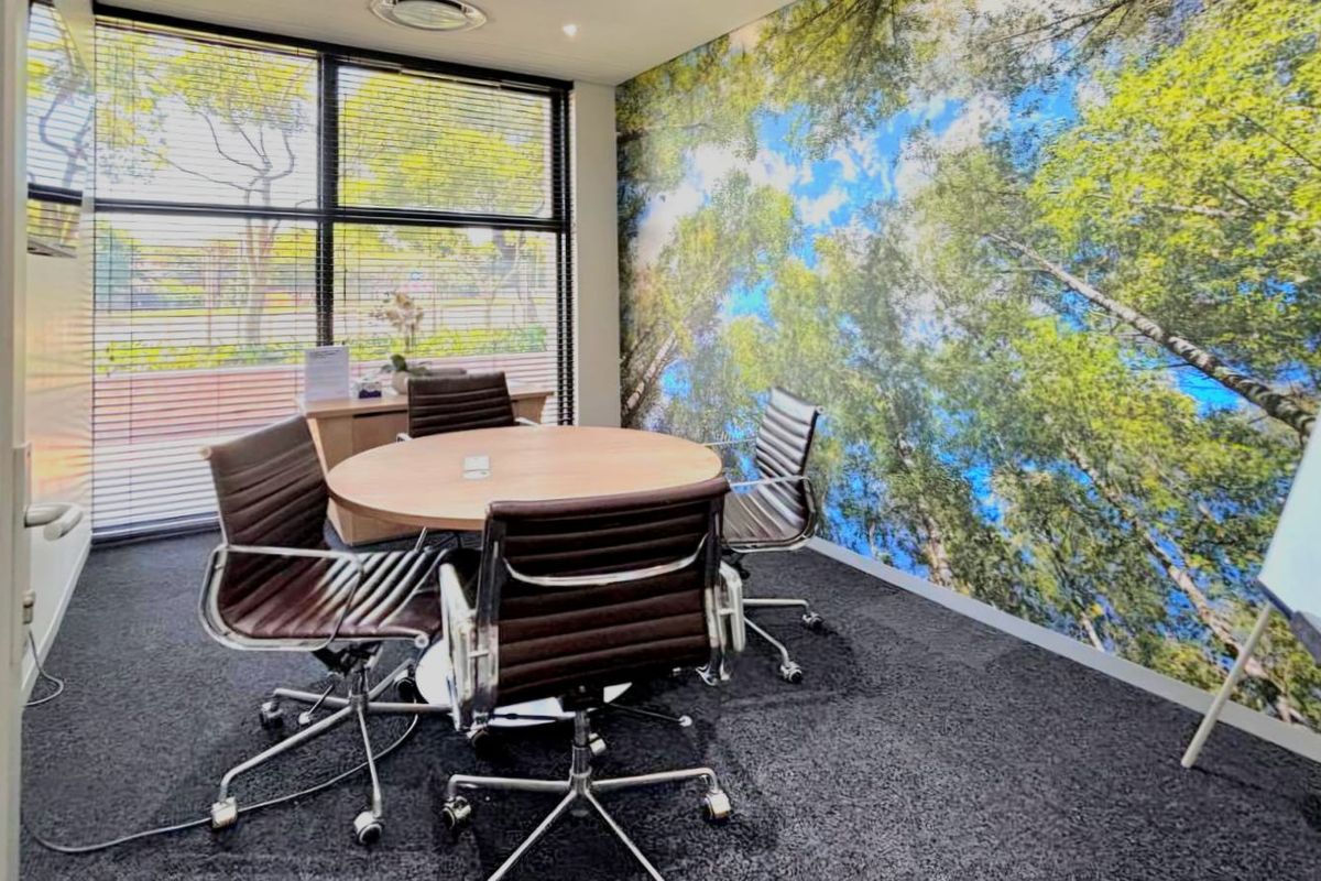 A professional office meeting room featuring large windows, carpeted flooring, and a nature-themed feature wall, providing a bright and functional workspace.