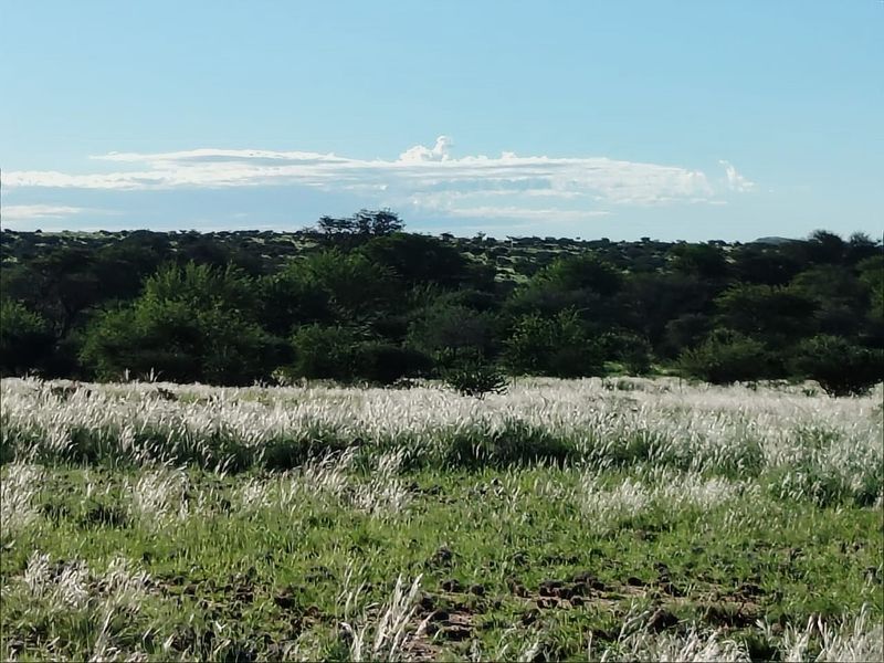Well-developed livestock farm near Kenhardt, Northern Cape. - Photo 6