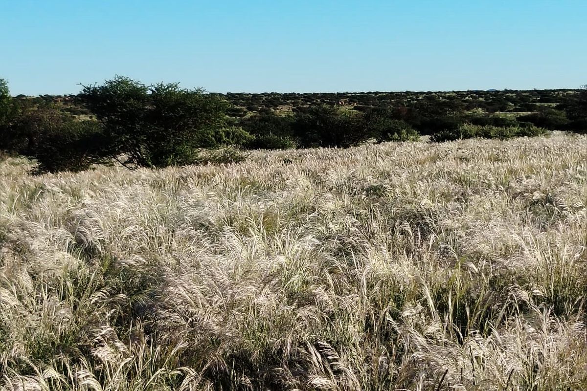 Well-developed livestock farm near Kenhardt, Northern Cape. - Photo 3