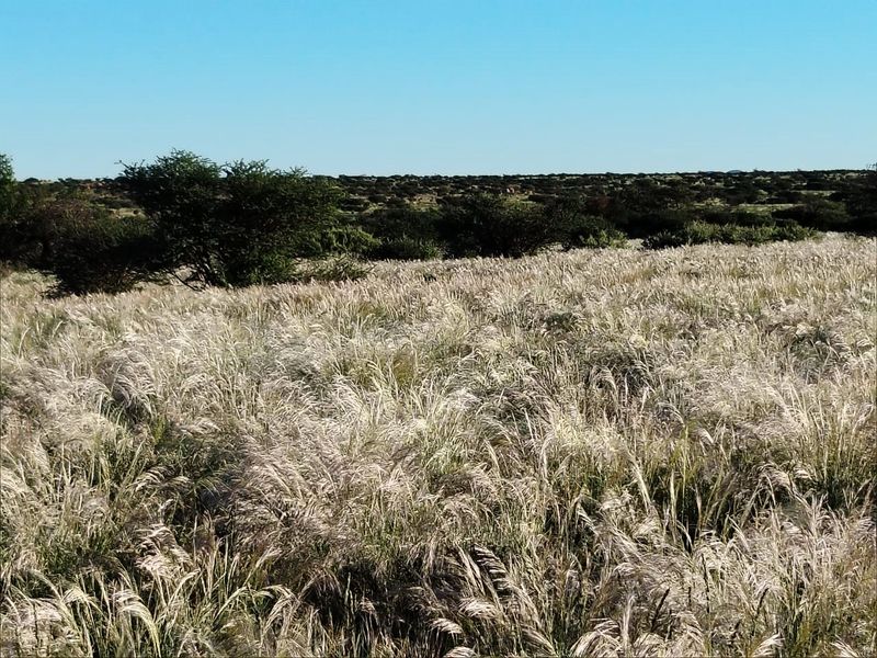 Well-developed livestock farm near Kenhardt, Northern Cape. - Photo 3