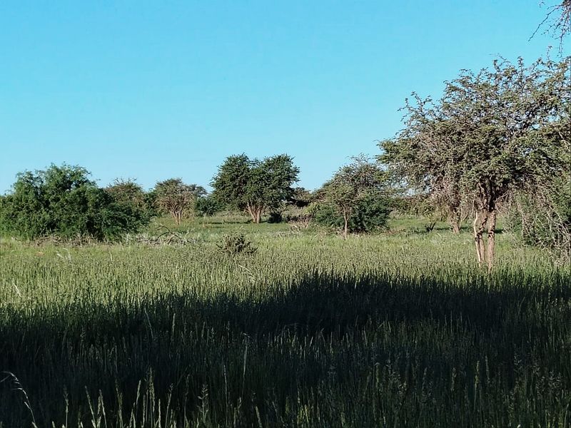 Well-developed livestock farm near Kenhardt, Northern Cape. - Photo 4